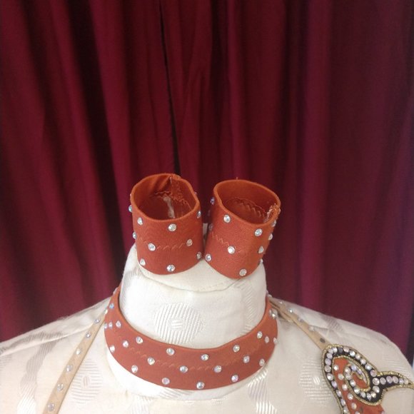 Professional Latin Dress - Picture 3 of 6